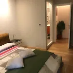 Smart-house-central-rent-rooms-free-parking 4*