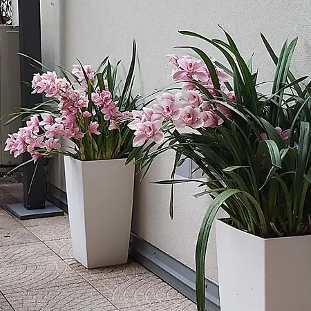 Bed & Breakfast Smart House Luxury Bergamo