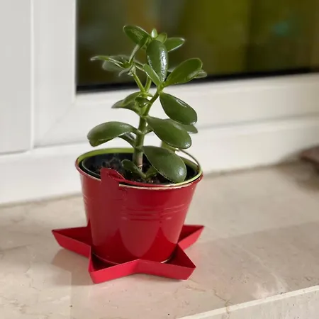 Smart-house Rent-rooms Free Parking 3*